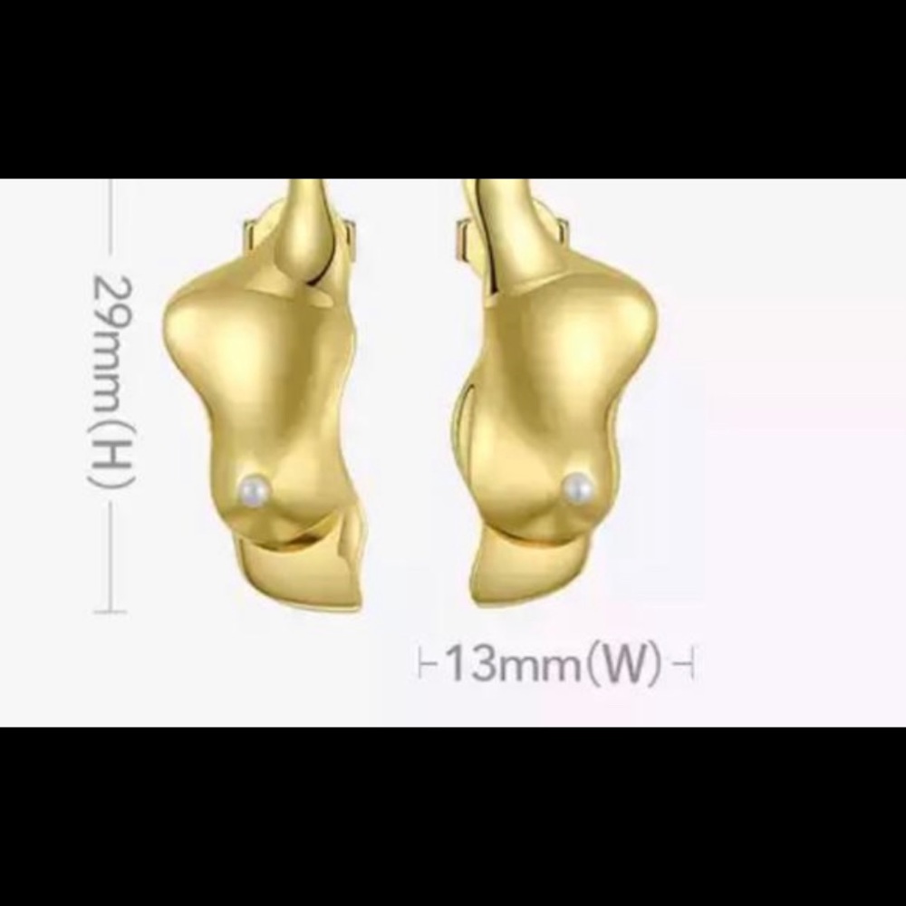 Never Fade Punk Body Part 3d Chest Stud For Women Earrings - Picture 2 of 4
